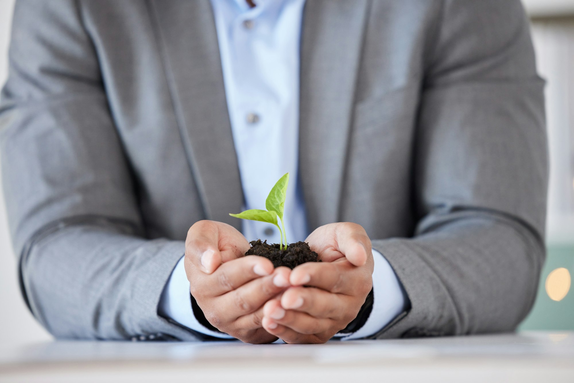 Businessman, hands and plant growth for agriculture sustainability, startup development and green e